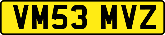 VM53MVZ