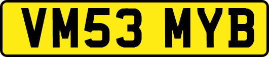 VM53MYB