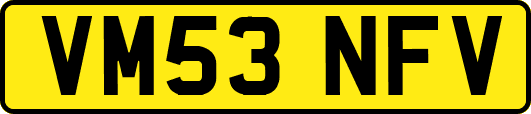 VM53NFV