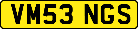 VM53NGS