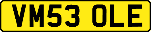 VM53OLE