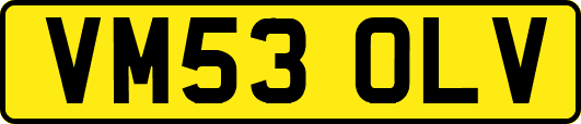 VM53OLV