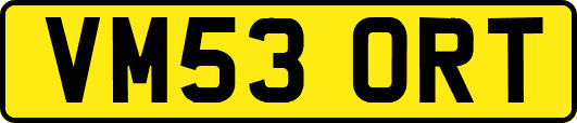 VM53ORT