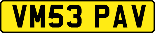 VM53PAV