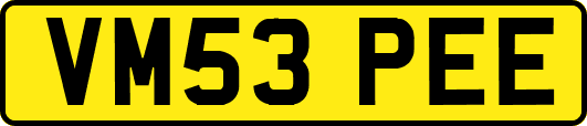 VM53PEE