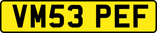 VM53PEF