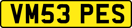 VM53PES