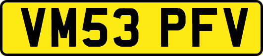 VM53PFV