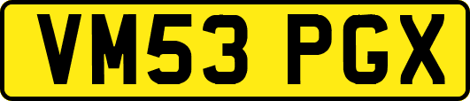 VM53PGX