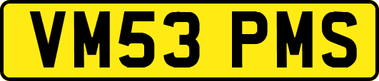 VM53PMS