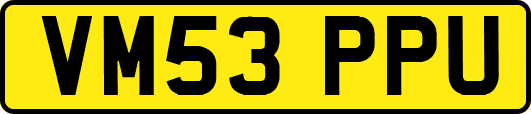 VM53PPU