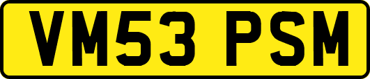 VM53PSM