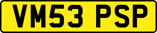 VM53PSP