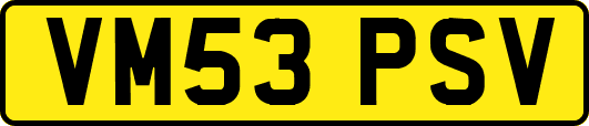 VM53PSV