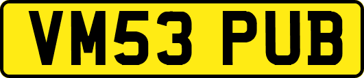 VM53PUB