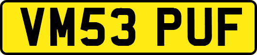 VM53PUF