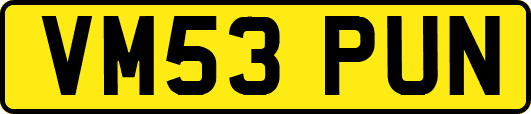 VM53PUN