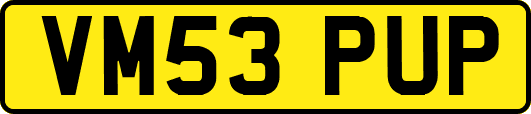 VM53PUP
