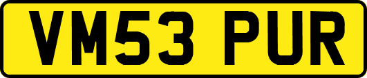 VM53PUR