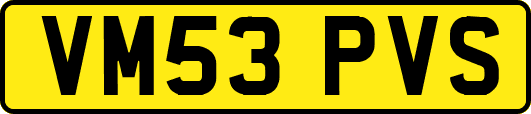 VM53PVS