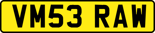 VM53RAW