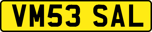 VM53SAL
