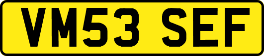 VM53SEF