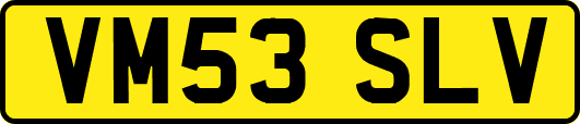 VM53SLV