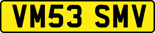 VM53SMV