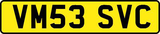 VM53SVC
