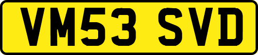 VM53SVD