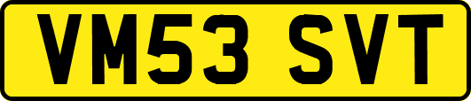 VM53SVT