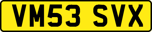 VM53SVX
