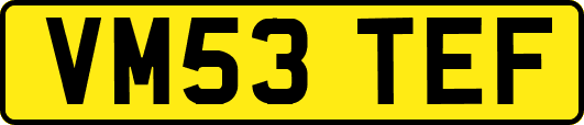 VM53TEF