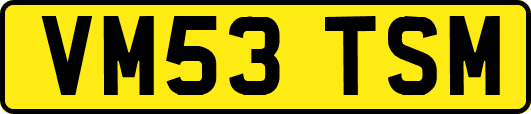 VM53TSM