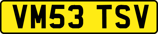 VM53TSV