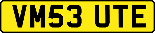 VM53UTE