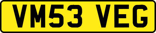VM53VEG