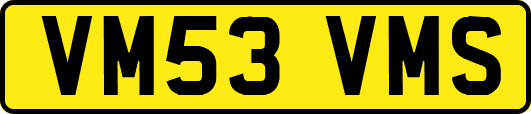 VM53VMS