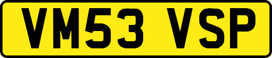 VM53VSP
