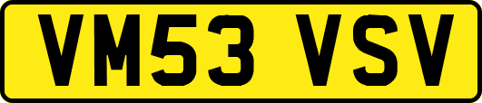 VM53VSV