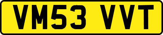 VM53VVT