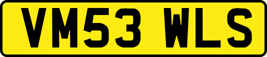 VM53WLS
