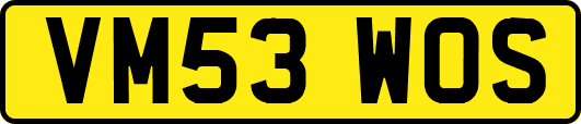 VM53WOS
