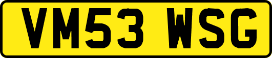 VM53WSG