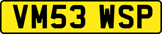 VM53WSP