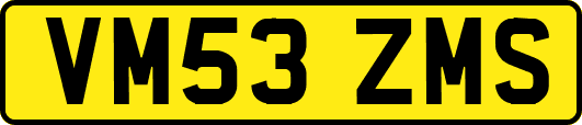 VM53ZMS