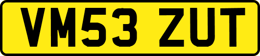 VM53ZUT