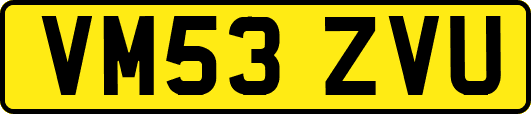 VM53ZVU