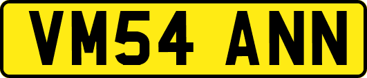 VM54ANN